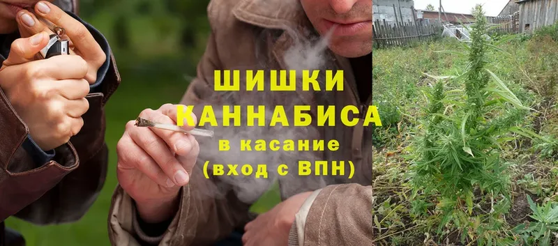 Конопля OG Kush  Петушки 